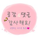 알로핫 이미지