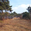 윤삼산 신도비 이미지