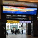 계양역 앞 횡단보도 A | 도쿄 근교 꼭 가야 될 후지산 1일 버스 투어 후기