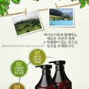 샴푸PC 이미지