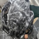 숨스칼프 | adore4 스칼프샴푸 na솔루션, 한 달 사용 후기! 지성 두피 고민 끝?