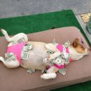 돈나와라 이미지