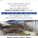 팔야식당