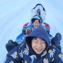 도깨비 계곡산장 | 양주눈꽃축제 눈썰매장 주말에 가서 실컷 타고 온 후기 - 뭐?? 그만타고 이제 가자고?? 허니썰매장 최고!