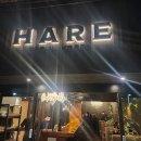 서초중앙로28길 16 | 교대역 이자카야 맛집 - 하레(Hare, 내돈내산)