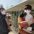 참소리카오디오 이미지