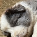 폼스하우스 이미지