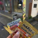 센스노래크럽 이미지