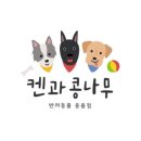 켄과콩나무 네이버블로그
