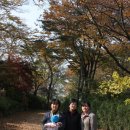 실로암목장 이미지