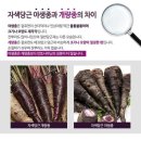 천연농산 이미지