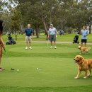 수림지 파크골프장2 이미지