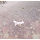 청 하우스 이미지