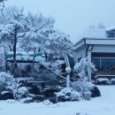 에버그린민박 이미지