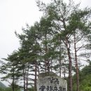 강릉솔향수목원 이미지