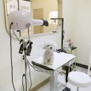 남동30 | 강아지 미용·호텔·놀이방을 한곳에서 하면 강아지 스트레스가 줄어드는 이유