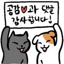선산반점 - 서구 서대구로62길 14-8 | 선산반점