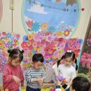 꽃사세요 꽃 이미지