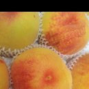 훈이네농장 이미지