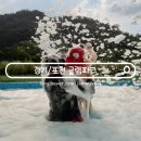 바운스 트램폴린파크 더블유스퀘어점 | 서울근교 글램핑 추천 포천 글램파크 계곡 옆 사계절 온수풀 수영장 후기
