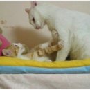 만나 이미지