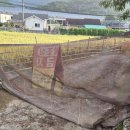 수성리경로당 이미지