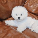 보듬보듬 이미지