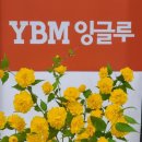 와이비엠(YBM)잉글루 이미지