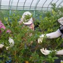 복덕농장 이미지