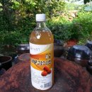 하동식초