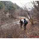 담티고개 Daum카페