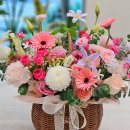 꽃순이네 | 과천 꽃배달 후기 감사선물 시즌 인기 꽃 행복한꽃순이