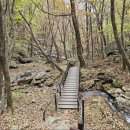 제눈에안경 이미지