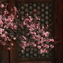 그대발길머무는곳에 이미지