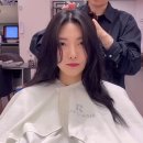 삼덕세탁소 | 미용실 유목민의 미용실 후기 : 이경민라포헤어 동성로점, 형플라쥬헤어 대구삼덕점