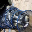 당골낚시터 이미지