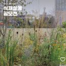 새순미용실 이미지