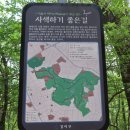 봉제산 무궁화공원 이미지