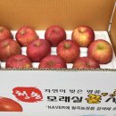 일표농장 이미지