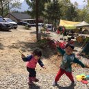 낭만에코파크 | 강화 낭만에코파크 캠핑장 간단후기