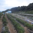 경희농원 이미지