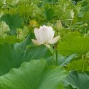 전강농장 이미지