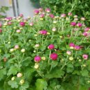 화산동근로자복지회관 이미지