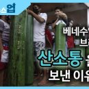 임경빈농장 네이버블로그