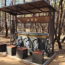 힐링포레스트 이미지