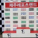 제주레포츠랜드 이미지