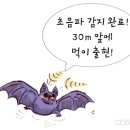 빛 소리 Ⅱ 이미지