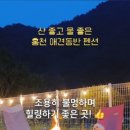 힐링위드독 이미지