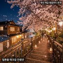 개금2동-8 | 부산 개금 벚꽃길 완벽 가이드 — '일본 감성' 데크길 인생샷 명소 &amp; 만개 실시간 정보 🌸