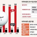 아쿠쉬네트 이미지